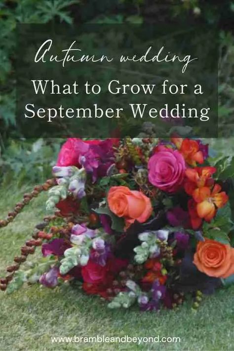 Autumn Flower Wedding: What to Grow for a September Wedding 1 September Flowers In Season, September Wedding Centerpieces, Grow Your Own Wedding Flowers, Wedding Flowers Decorations, September Wedding Flowers, Fall Flowers Garden, Wedding September, Autumn Diy, Fall Garden Wedding