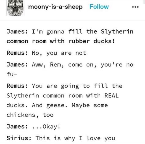 Marauders James Potter, Marauders Incorrect Quotes, Remus Lupin Marauders, Marauders Headcanons, Mauraders Era, Harry Potter Texts, Orion Black, Barty Crouch, Funny Harry Potter Jokes