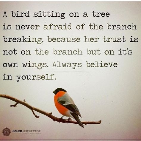 Believe in you! Have confidence in your abilities to succeed ❤️️ #fly #believe #confidence #lds #mormon #trekthruconference #bookofmormon #sharegoodness #lighttheworld Uplifting Quotes, Quotable Quotes, A Quote, Beautiful Quotes, Great Quotes, Wisdom Quotes, Inspirational Words, Life Lessons, Wise Words