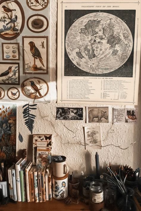 Astronomy art, cottagecore room decor, celestial wall art Astronomy Room Aesthetic, Moon Core Aesthetic, Moon Themed Room, Space Room Aesthetic, Celestial Room Aesthetic, Celestial Room Decor, Moon Room Decor, Celestial Bathroom, Cozy Vintage Living Room