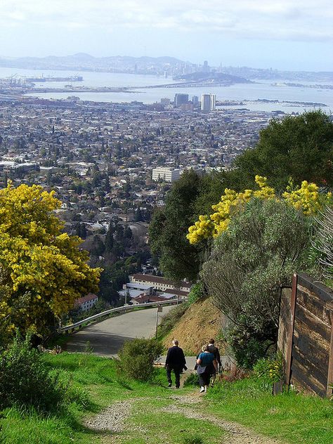 Berkeley hills firetrail hike with Tony & Jessie-4 by Palojono, via Flickr What To Do Outside, 2024 Manifestations, Richmond California, Berkeley Hills, California Hikes, Berkeley California, Fall Semester, Living In San Francisco, Forest Trail