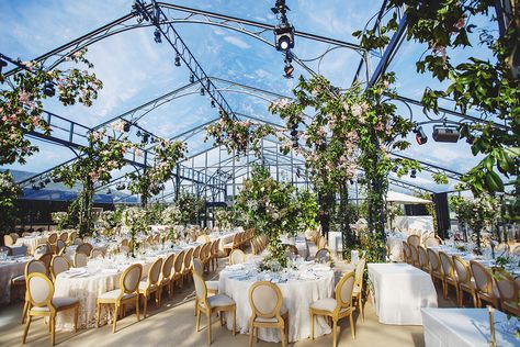 An inside garden wedding with an outside view in an Orangerie  . . . . . . . . . . . . . . . . #AlejandraPoupelEvents #Apevents #luxuryweddingplanner #destinationweddingplanner #destinationwedding #franceweddingplanner #creatingmemories #weddingdesigners #elegantwedding #weddingday #reception #weddinginspiration #destination #destinationweddingplanner  #destinationwedding #destinationparty #specialevents #internationalweddingplanner #venue #PBI #weddingtent #weddingstructure Glass Tent Wedding, Greenhouse Structure, Wedding Venue France, Neutral Wedding Decor, Tented Wedding Reception, Tent Wedding Reception, Wedding Tents, Inside Garden, Tented Wedding