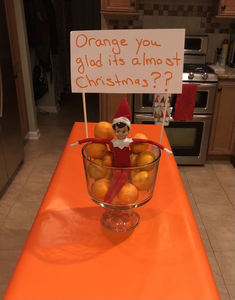 Elf On The Shelf Oranges, Donut Worry Im Back Elf, Elf On The Shelf Ideas For School Cafeteria, Christmas Eve Eve Elf Ideas, Elf Om Shelf Ideas, Elf Returning Ideas, Easy Elf Ideas, Elf Gifts, Elf 2023