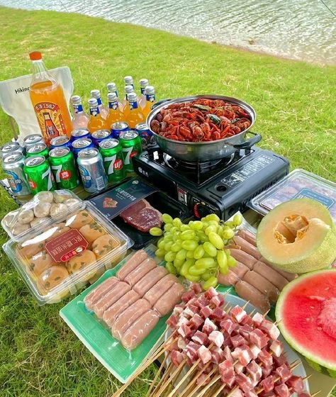 Top 15 Easy Camping Meals for the Family: Quick, Delicious Recipes for Outdoor Adventures Picnic Food Packing Ideas, Bbq Picnic Ideas, Simple Camping Meals, Camping Dinner Ideas, Meals For The Family, Campfire Snacks, Picnic Date Food, Fishing Picnic, Best Camping Meals