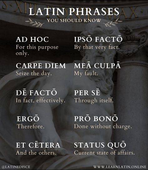 Beautiful Latin Phrases, Latin Language Learning, Learn Latin, Mea Culpa, Latin Quotes, Latin Language, Latin Phrases, Latin Words, I Wish I Knew