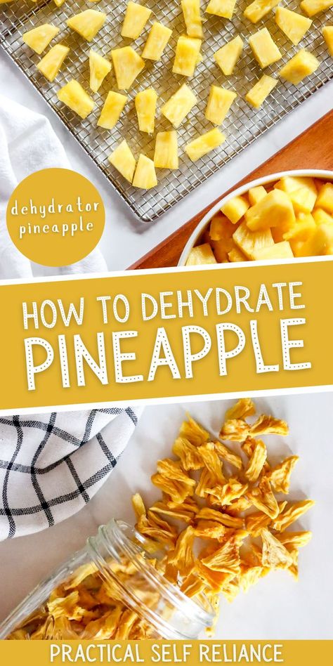 A jar of dried pineapple and fresh pineapple on a dehydrator tray ready for dehydrating. Dehydrated Candy, Dehydrator Ideas, Dehydrating Fruit, Dehydrator Recipes Fruit, Dehydrate Pineapple, Dehydrating Recipes, Snacks Homemade, Dehydrating Food Storage, Dehydrated Apples