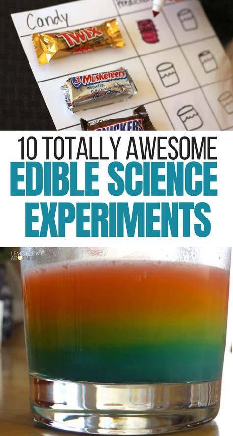 Are you looking for a fun kids activity? These 10 totally awesome edible science experiments for kids are an awesome way to help your childs love of learning grow. Try these edible science experiments over summer break, or the weekend with your kiddos! #scienceexperiments #ediblescience #kidsactivities Food Experiments For Kids, Edible Science Experiments For Kids, Edible Science Experiments, Food Science Experiments, Candy Science Experiments, Edible Science, Science Experiments Kids Elementary, Candy Science, Food Experiments