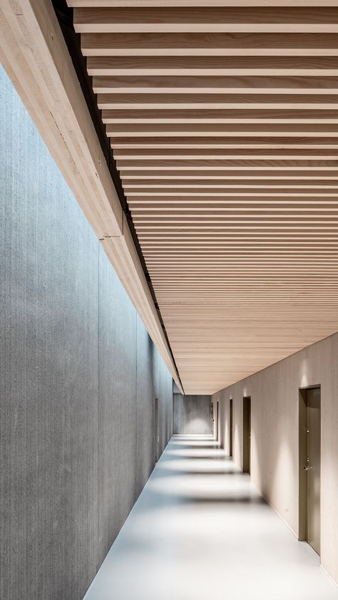 Wood Slat Ceiling, Baffle Ceiling, Wooden Ceiling Design, Timber Battens, Corridor Design, Timber Slats, Timber Ceiling, Faux Plafond, Ceiling Treatments