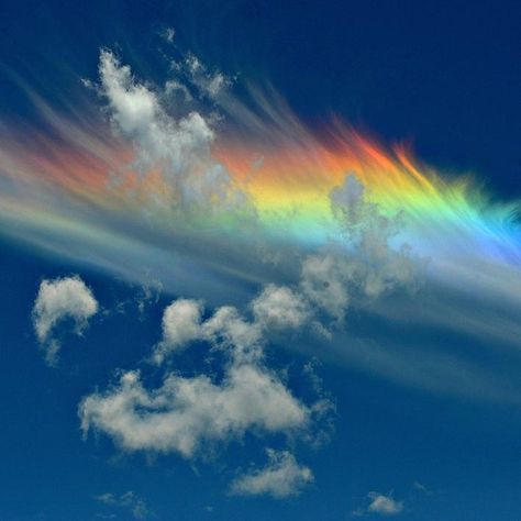 A “fire rainbow," or circumhorizontal arc, is a colorful atmospheric phenomenon that occurs when the sun is high in the sky, 58° above the… Weather Cloud, Umbrella Art, Fire Rainbow, Rainbow Sky, Rainbow Card, Atmospheric Phenomenon, Rainbow Cloud, Natural Phenomena, Rainbow Dash