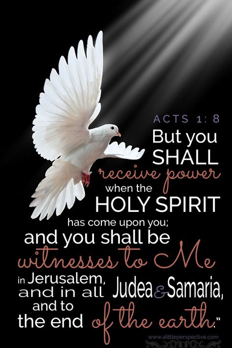 "But you shall receive power when the Holy Spirit has come upon you, and you shall be witnesses to Me in Jerusalem, and in all Judea and Samaria, and to the end of the earth." Act 1:8 <3 Acts 1 8, Dove Flying, Acts 1, Ayat Alkitab, Scripture Pictures, White Dove, Pentecost, Holy Ghost, The Holy Spirit