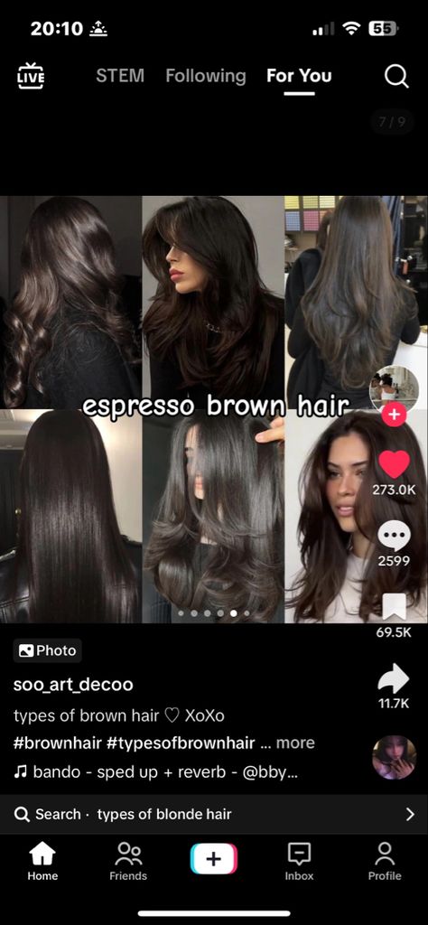 Types Of Brown Hair, Espresso Hair Color, Cool Brown Hair, Mocha Color Hair, Dark Chocolate Brown Hair, Brown Hair Color Shades, Baylage Hair, Mocha Hair, Coffee Hair