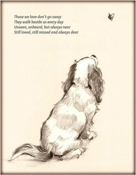 Cavalier Matters on Twitter: "For all those who have recently lost their companion.. (no idea who the artist is). http://t.co/70IYDkDr78"