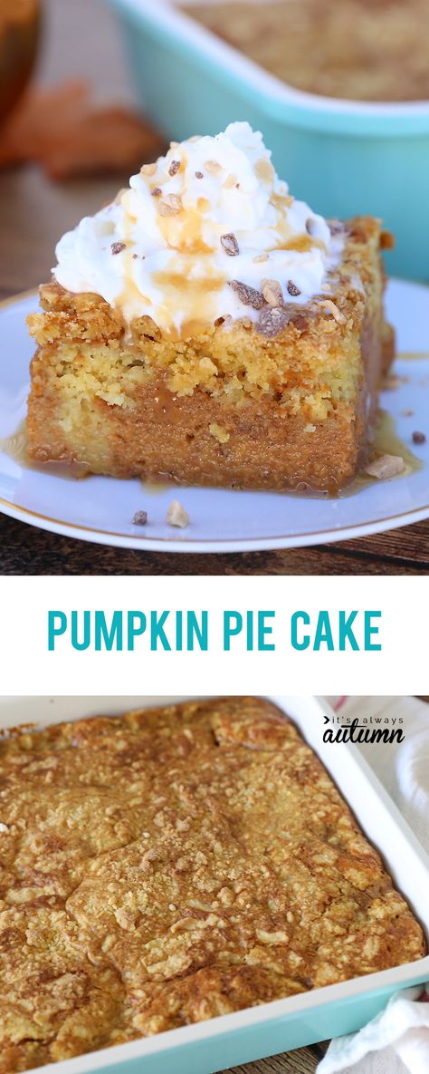 Pumpkin Pie Cake Recipe, Pie Cake Recipe, Pumpkin Pie Cake, Cake Pumpkin, Pumpkin Pie Recipe Easy, Recipe Pumpkin, Easy Pumpkin Pie, Pumpkin Recipe, Pumpkin Recipes Dessert