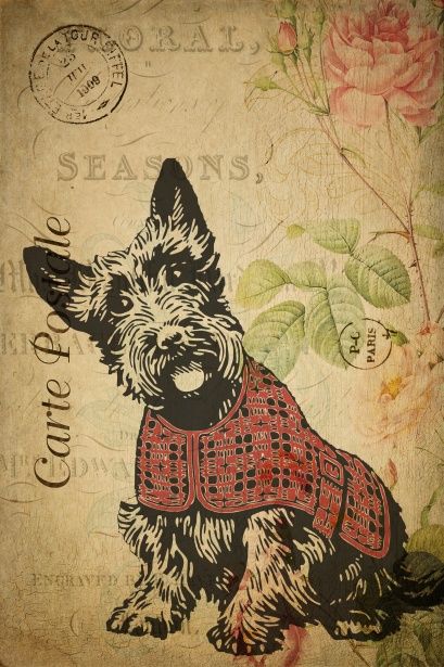 Free image of "Dog Vintage Floral Postcard" by Karen Arnold Vintage Dogs Images, Floral Postcard, French Dog, French Dogs, Free Vintage Printables, Scottish Terriers, Postcard Art, Images Vintage, Vintage Journal