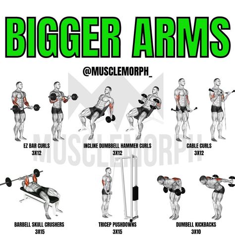 Compound Bicep Workout, Workouts To Make Your Arms Bigger, Long Bicep Workout, Massive Arms Workout, Build Bigger Arms, Full Arm Workout Gym, Wider Arms Workout, Arms Day Workout Gym, Fitness Arms Workout