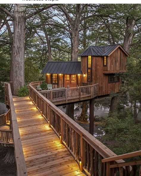 2 Story Tree House, Cozy Tree House, Tree Homes, Adult Tree House, Luxury Tree Houses, Bungalow Ideas, Beautiful Tree Houses, Treehouse Masters, Tented Camp