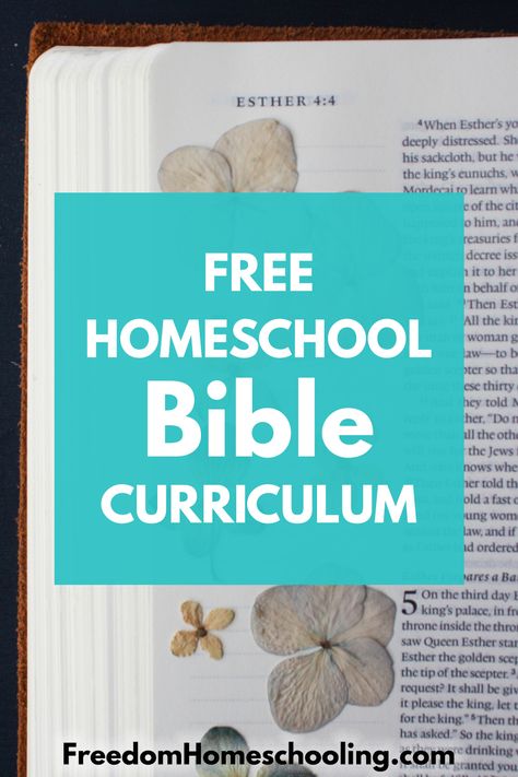 Kids Bible Study Lessons, Free Bible Study Printables, Homeschool Bible Curriculum, Childrens Bible Study, Teen Bible Study, Bible Homeschool, Christian Homeschool Curriculum, Family Bible Study, Bible Study Printables