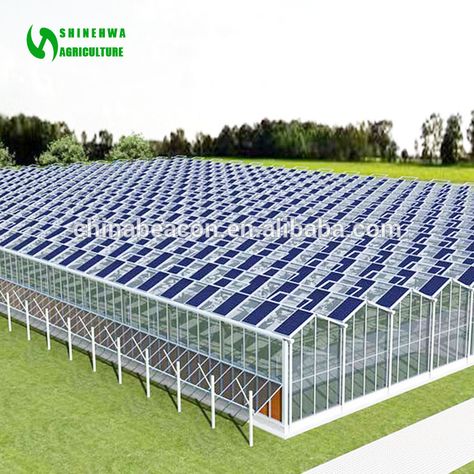 Passive Solar Greenhouse, Aquaponics Greenhouse, Greenhouses For Sale, Greenhouse Farming, Solar Greenhouse, Commercial Greenhouse, Smart Farm, Indoor Farming, Best Greenhouse