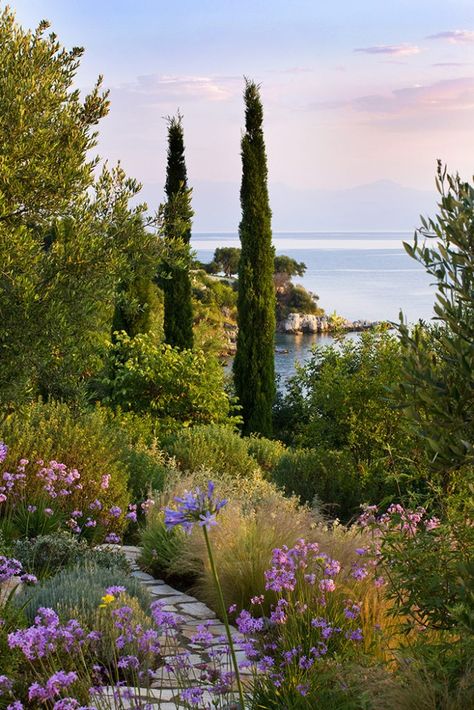 🇬🇷 Kassiopia Estate (Greece) by Clive Nichols 🌷 Greek Garden, Greece Islands, Mediterranean Garden, Corfu, Greek Islands, Garden Inspiration, Outdoor Garden, Secret Garden, Beautiful Gardens