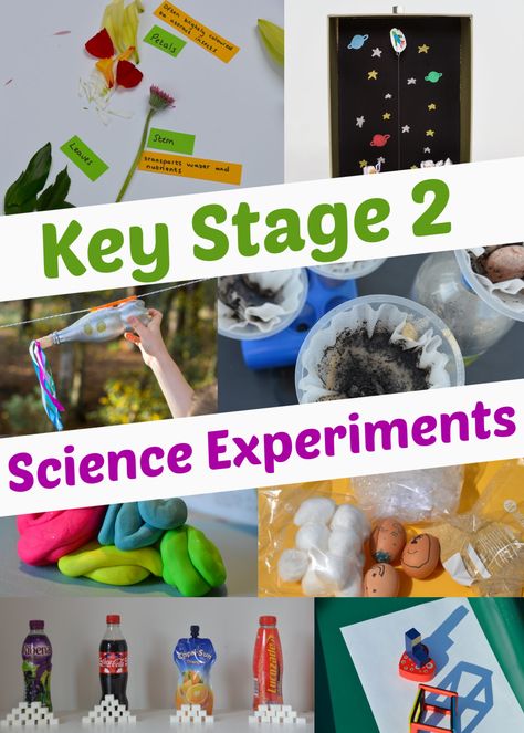 Gravity Experiments, Homeschool Goals, Fossils Activities, Air Dry Polymer Clay, Easy Stem, Science Experiments For Kids, Key Stage 2, Educational Play, Experiments For Kids