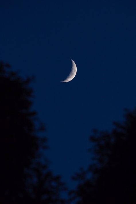 Crescent Moon Between Trees photo by Andy Holmes (@andyjh07) on Unsplash The Moon Is Beautiful, Look At The Moon, Moon Pictures, Celtic Tree, Moon Photography, Moon Lovers, Beautiful Moon, Pure Beauty, Night Aesthetic