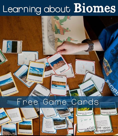 Review with these free biomes game cards Teaching Biomes, Classical Learning, Biomes Activities, Biomes Project, Ecosystems Projects, Montessori Science, Montessori Geography, Homeschool Geography, Secondary Science