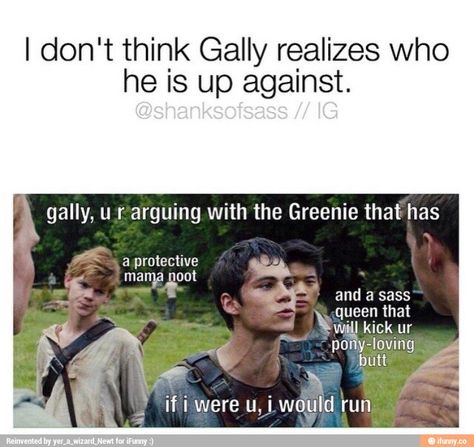 The Maze Runner: Jokes and Memes" - Gally, you're crazy - Wattpad Runner Jokes, Mama Newt, Maze Runner Thomas, Maze Runner Trilogy, Maze Runner Funny, Maze Runner Imagines, The Glade, Maze Runner Cast, Scorch Trials