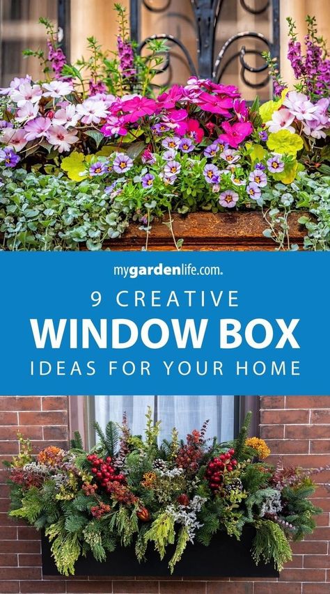 Brighten up your home with these window box ideas! Discover creative window box arrangement inspiration for sun, shade and every condition in between. These DIY window box planters will add charm to any window sill. Transform your home's exterior with these stunning displays and find more front porch gardening tips and landscaping inspiration at MyGardenLife.com. Window Box Perennials, 2nd Story Window Boxes, Small Plant Box Outdoor Garden Ideas, Fake Flowers In Window Boxes Diy, Window Box Design Ideas, Window Box Planter Ideas Full Sun, Window Box Ideas For Sun, Sunny Window Box Flowers, Window Flower Box Ideas Full Sun