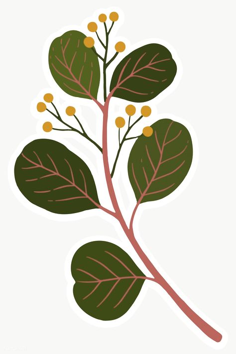 Illustration Leaves, Branch Illustration, Plants Illustration, Flowers Illustration, Eucalyptus Branches, Crocus Flower, Floral Banners, Posca Art, Pola Sulam