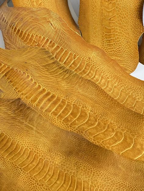 Ostrich Legs, Motorcycle Seats, Ostrich Leather, Color Grading, Leather Projects, May 2024, Leather Items, Stone Color, Mustard