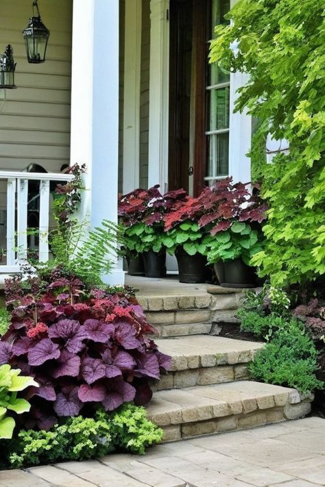 Discover the perfect plants for a shady porch with these best shade plants for the front of your house. From low maintenance shrubs to shade-loving perennials, you'll find a variety of options to create a beautiful front yard or add life to your covered patio space. Whether you're looking for container gardening flowers or low growing shrubs, there's something here for every shaded area. Landscaping Shaded Front Yard, Shrubs In Front Of House Shade, Front Porch Shade Plants, Shade Garden Front Of House, Shade Landscaping Front Yard, Evergreen Shrubs For Shade, Plants For Front Of House, Best Shade Plants, Porch Shades