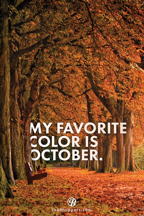 My favorite color is October :) My Favorite Color Is October, Fall Camping, Camping Guide, Autumn Quotes, Autumn Harvest, My Favorite Color, Happy Fall Y'all, Harvest Moon, Seasons Of The Year