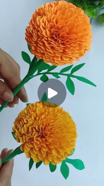 Tissue Paper Daisies, Diy Paper Marigold Flower, Color Paper Flowers, Marigold Flower Paper Craft, Diy Color Paper Crafts, Craft Ideas Videos Creative, Mexican Paper Flower Centerpieces, Marigold Diy Paper Flowers, Paper Flower For Decoration