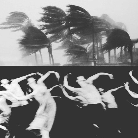 Diptych Art, Pina Bausch, Fotografi Urban, Blowing In The Wind, Siluete Umane, Septième Art, Photographie Inspo, Gambar Figur, Powerful Art