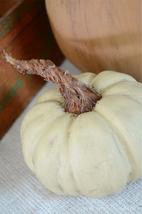 DIY Pumpkins with Realistic Looking Stems | ANDERSON+GRANT Pumpkin Stems Diy, September Days, Paint Pumpkin, Pumkin Decoration, Pumpkin Stems, Pumpkin Mold, Diy Pumpkins, Diy Pumpkin Spice, Prim Crafts