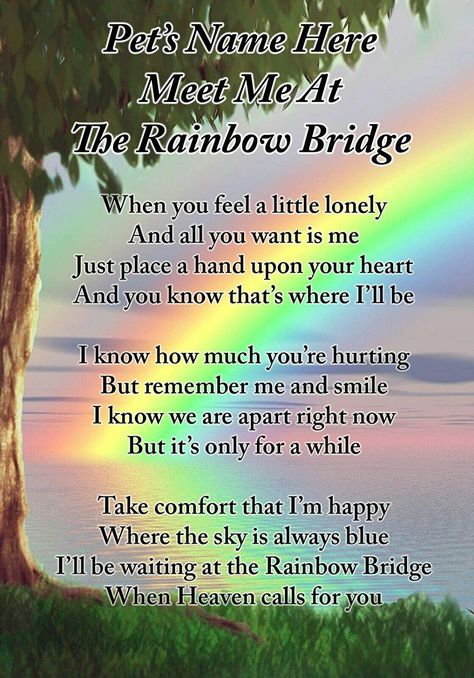 Lisa s Gifts Personalised Meet Me at The Rainbow Bridge Dog Cat Pet Memorial Graveside Funeral Poem Keepsake Card Includes Free Ground Stake F397 Losing A Dog Quotes, Losing A Pet Quotes, Bridge Quotes, Dog Heaven Quotes, Pet Poems, Dog Poems, Dog Quotes Love, Dog Heaven, Pet Remembrance