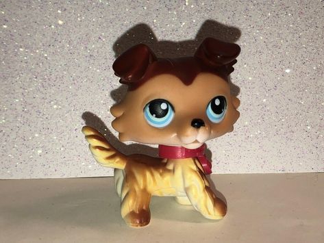 Lps Collie, Lps Art, Littlest Pet Shop, Lps, Pet Shop, Pet