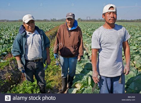 Migrant Mother, Farm Workers, August Sander, Migrant Worker, Florida Usa, Photo Image, Stock Images, Florida, Resolution