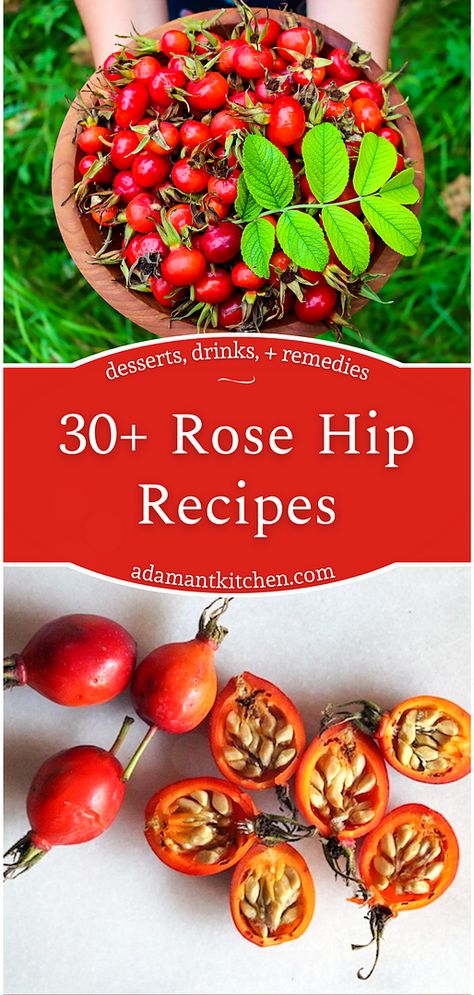 Rose Hip Recipes, Rose Hips Benefits, Canning Fruit Recipes, Rosehip Recipes, Healing Tea Recipes, Gooseberry Recipes, Homemade Pie Recipes, Rosehip Tea, Edible Flowers Recipes