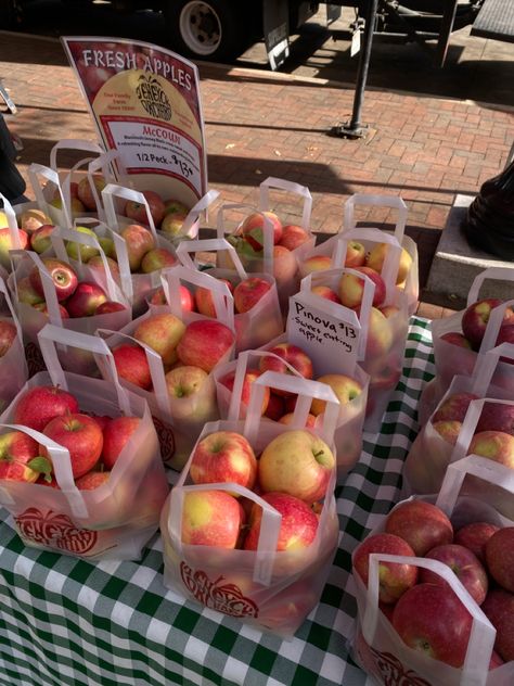 apple at farmers market apple picking apple orchard pumpkin patch pumpkin Farmer’s Market Aesthetic, Fall Farmers Market Aesthetic, Fall Apple Picking Aesthetic, Fall Time Aesthetic, Apples Aesthetic, Apple Picking Aesthetic, Fall Apple Orchard, Fall Farmers Market, Fall Apple Picking