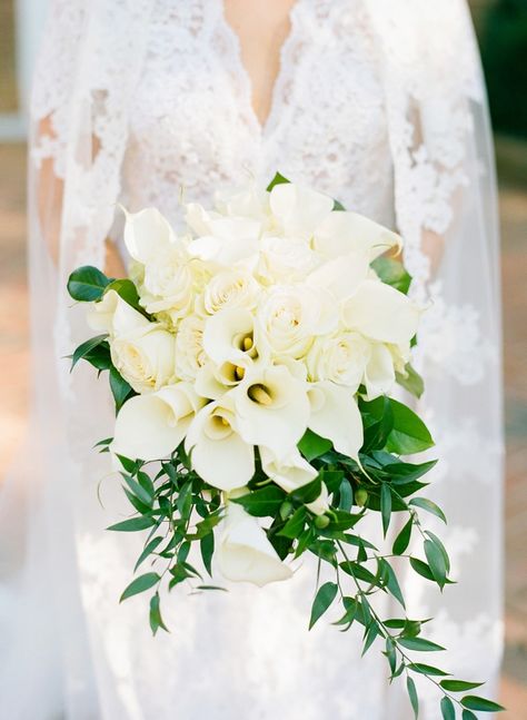 Photography: Jodi Miller Photography - jodimillerphotography.com  Read More: http://www.stylemepretty.com/2015/06/10/charming-southern-wedding-on-virginia-horse-farm/ White Calla Lily Wedding Bouquet, Single Flower Bouquet, Calla Lily Bouquet Wedding, Calla Lily Bridal, Calla Lily Wedding, Cascading Wedding Bouquets, Calla Lily Bouquet, Winter Wedding Bouquet, Garden Theme Wedding