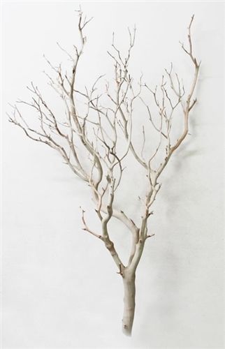 Fall Branch Arrangement, Manzanita Centerpiece, Stick Tree, Manzanita Branches, Curly Willow, Branch Decor, Wedding Centerpieces Diy, Diy Centerpieces, Floral Display