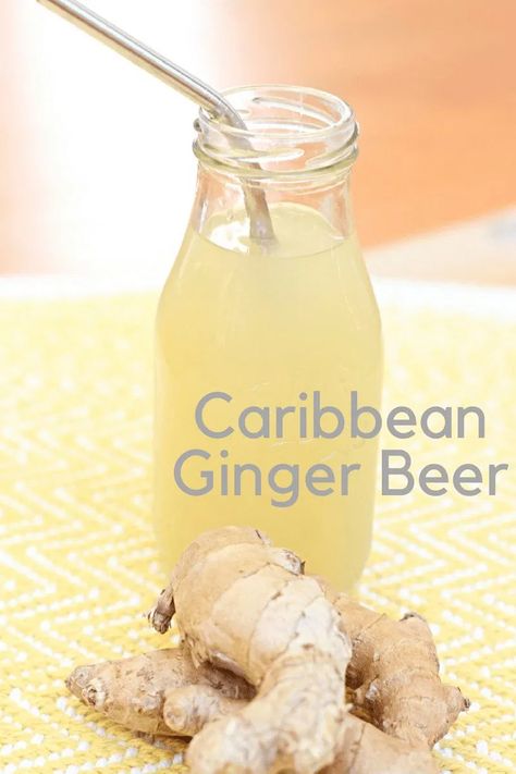 Ginger Beer Drinks, Homemade Ginger Beer, Ginger Beer Recipe, Homemade Ginger Ale, Fermented Drinks, Spicy Drinks, Beer Recipe, Fermentation Recipes, Fermented Drink