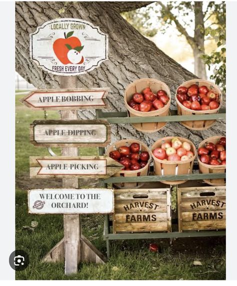 Apple Orchard Field Trip, Fall Apple Orchard, Farmers Market Display, Harvest Farm, School Dinners, Bobbing For Apples, Apple Dip, Market Display, Party Planning Ideas