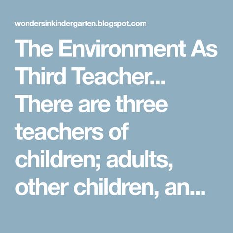 The Environment As Third Teacher... There are three teachers of children; adults, other children, and their physical environment. Lor... Reggio Emilia Classroom, Physical Environment, New Classroom, Reggio Emilia, The Environment, Physics