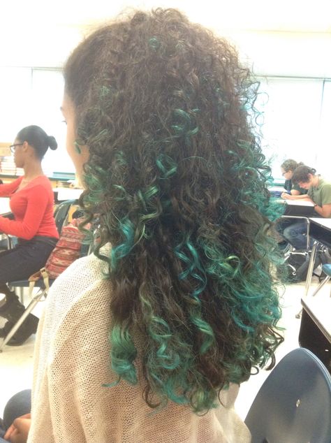 blue curly hair hispanic school cute outfit Long Dyed Curly Hair, Ends Dyed Hair, Frosted Tips Curly Hair, Bandmates Aesthetic, Dyed Curly Hair Blue, Hair Dye Ideas For School, Dyed Curly Hair Black Women, Teal Curly Hair, Curly Blue Hair