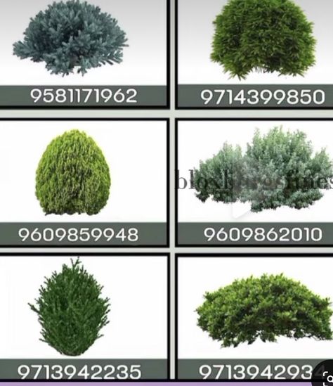 Roblox Bush Decal, Custom Bloxburg Plants, Tree Codes For Bloxburg, Bloxburg Custom Plants Decal, Roblox Decal Codes Plants, Bloxburg Decal Plant Code, Bloxburg Plant Id Codes, Bloxburg Garden Ideas Modern, Bushes Bloxburg Codes