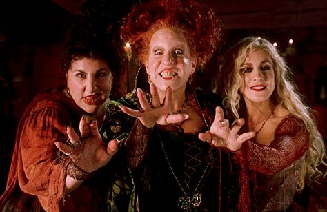 Hocus Pocus Gif, Thackery Binx, Hocus Pocus 1993, Hocus Pocus Movie, Hocus Pocus 2, Kenny Ortega, Best Halloween Movies, Sanderson Sisters Hocus Pocus, Halloween Gif