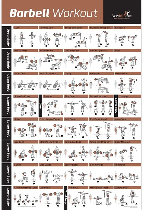 Weight Lifting Chart, Fat Loss Gym Workout, Body Squats, Strength Training Routine, Home Gym Exercises, Barbell Workout, Gym Weights, Workout Posters, Body Training