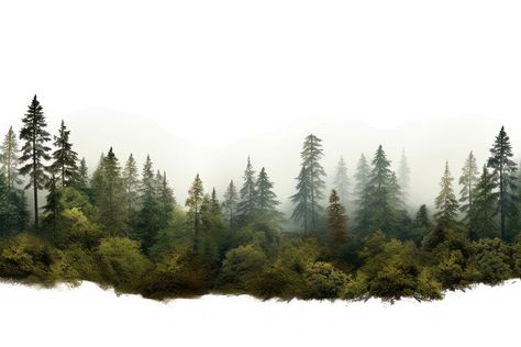 Trees Background For Editing, Border Design Landscape, Tree Background For Editing, Elevation Background, Forest Background Landscape, Trees In Elevation, Nature Background Images For Editing, Nature Background Landscape, Outdoor Graphic Design